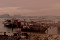 Thailand, Koh Samui, sunset at thong krut fishing village.