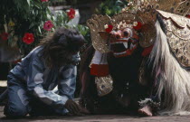 Indonesia, Bali, Barong dance representing the struggle between good and evil, the Monkey removes thorn from the foot of mythical Lion like creature who represents goodness.