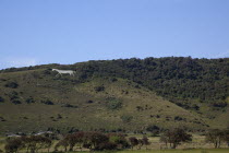 England, East Sussex, Litlington, The Cuckmere White Horse cut out of the chalk hills.