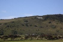 England, East Sussex, Litlington, The Cuckmere White Horse cut out of the chalk hills.