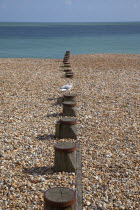 England, East Sussex, Eastbourne, View across shingle beach.