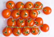 Food, Fruit, A tray of red cherry tomatoes on the vine.