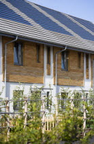 Architecture, Alternative Energy, Electricity, Solar photovoltaic roof tiles or slates on new houses by Linden Homes in Graylingwell Park.