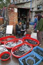 China, Jiangsu, Nanjing, Fishmonger opening and cleaning shellfish with a knife for a customer at a street market near Xuanwu Lake, Red and blue plastic tubs with live fish and shellfish with water be...