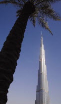 United Arab Emirates, Dubai, Palm tree in front of Burj Khalifa tower.