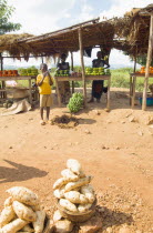 Burundi, Cibitoke Province,  Buganda Commune, Market stall selling vegetables beside the road.