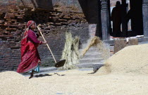 Nepal, Bhaktapur, Suryamadhi area, Woman tossing grain in sun.