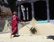 Nepal, Bhaktapur, Suryamadhi area, Woman tossing grain in sun.