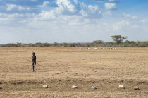 Uganda, Karamoja, Small boy shepherding his goats on the arid plains.