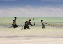 Tanzania, Zanzibar, Paje, Fisherman in the shallow waters off the beach pulling in their net.
