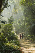 Bangladesh, Lowacherra Forest Reserve, Srimongal, Two sisters walking hand in hand along a path through dappled forest sunlight.