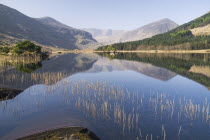 Ireland, County Kerry, Killarney, Black Valley, Cummeenduff Lough.