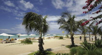Cape Verde Islands, Sal, Island, Santa Maria Beach.