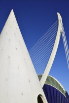 Spain, Valencia Province, Valencia, La Ciudad de las Artes y las Ciencias, City of Arts and Sciences, El Pont de l'Assut de l'Orr Bridge and Agora with lift from Umbracle car park in foreground.