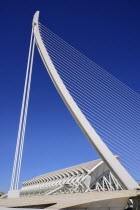 Spain, Valencia Province, Valencia, La Ciudad de las Artes y las Ciencias, City of Arts and Sciences, Principe Felipe Science Museum framed by El Pont de l'Assut de l'Or Bridge.