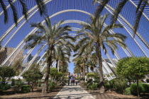 Spain, Valencia Province, Valencia, La Ciudad de las Artes y las Ciencias, City of Arts and Sciences, Interior of the Umbracle sculpture garden.