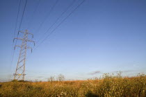 Energy, Power, Electricty, Pylons in the Hampshire countryside, England.