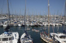 Spain, Catalonia, Barcelona, Yachts moored in Port Olimpic marina.