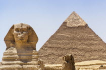 Egypt, Cairo, Giza, The Great Sphinx and Pyramid of Khafre, also known as Pyramid of Chephren.