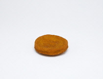 Food, Cooked, Fish, Single fried fishcake on a white background.
