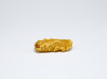 Food, Cooked, Meat, Single fried battered pork sausage on a white background.