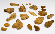 Food, Cooked, Poultry, Display of various battered and breaded fried portions of chicken on a white background.