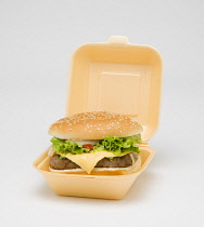 Food, Cooked, Meat, cheesburger with salad and tomato ketchup in a bun inside a polystyrene foam box on a white background.