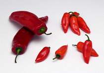 Food, Vegetable, Chilli, Varieties of red chillies arranged on a white background.