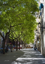 Spain, Catalonia, Barcelona, Small shaded square in the Gothic Quarter district planted with trees in leaf for shade.