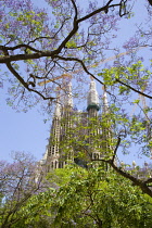 Spain, Catalonia, Barcelona, The spires of the basilica church of Sagrada Familia deisigned by Antoni Gaudi seen through the branches of a tree in the Eixample district.