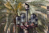 Spain, Catalonia, Barcelona, Ornate street lamp and palm trees in Placa Reial.