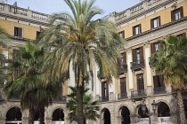 Spain, Catalonia, Barcelona, palm trees in Placa Reial.