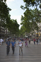 Spain, Catalonia, Barcelona, Tourist walking along the tree lined avenue of La Rambla.