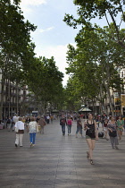 Spain, Catalonia, Barcelona, Tourist walking along the tree lined avenue of La Rambla.