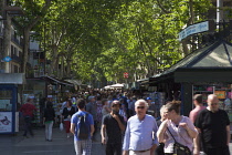 Spain, Catalonia, Barcelona, Tourist walking along the tree lined avenue of La Rambla.