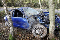 Transport, Road, Cars, Accident, Rover car crashed into tree.