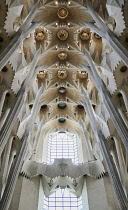 Spain, Catalunya, Barcelona, Basilica i Temple Expiatori de la Sagrada Familia, Generally known as Sagrada Familia, Detail of the elaborate ceiling.