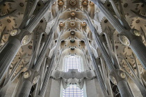 Spain, Catalunya, Barcelona, Basilica i Temple Expiatori de la Sagrada Familia, Generally known as Sagrada Familia, Detail of the elaborate ceiling.