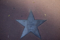 Germany, Berlin, Mitte, Potsdamer Platz, Wim Wenders star in th Boulevard der Stars.