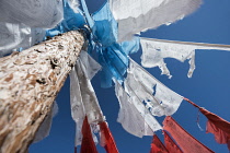 China, Tibet, Blessing colorful Tibetan prayer flags waves under the blue sky.