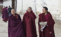 China, Tibet, Happy faces of Tibetan Labrang Monastery monks after a morning prayers.