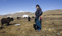 China, Tibet, Young woman from a Tibetan nomad family on a highland pasture near family tent.