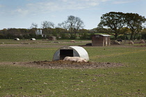 England, West Sussex, Funtington, Free range pig pens.