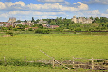 England, West Sussex, Arundel, Castle and Cathedral seen across farmland.