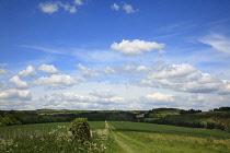 England, West Sussex, Slindon, View of the South Downs with public Bridleway strrecthing into the distance.