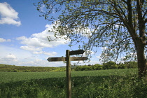 England, West Sussex, Slindon, View of the South Downs with wooden sign for public bridleway.