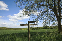 England, West Sussex, Slindon, View of the South Downs with wooden sign for public bridleway.