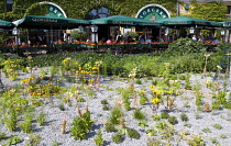 Germany, Berlin, Mitte, The Brauhaus Georgbreau brewery and restaurant bar in the St Nicholas Quarter the Nikolaiviertel with diners seated at tables under umbrellas beside plants planted in gravel in...