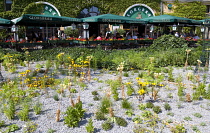 Germany, Berlin, Mitte, The Brauhaus Georgbreau brewery and restaurant bar in the St Nicholas Quarter the Nikolaiviertel with diners seated at tables under umbrellas beside plants planted in gravel in...