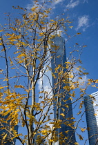 USA, New York, Lower Manhattan, One World Trade Center skyscraper, the tallest building in the city.